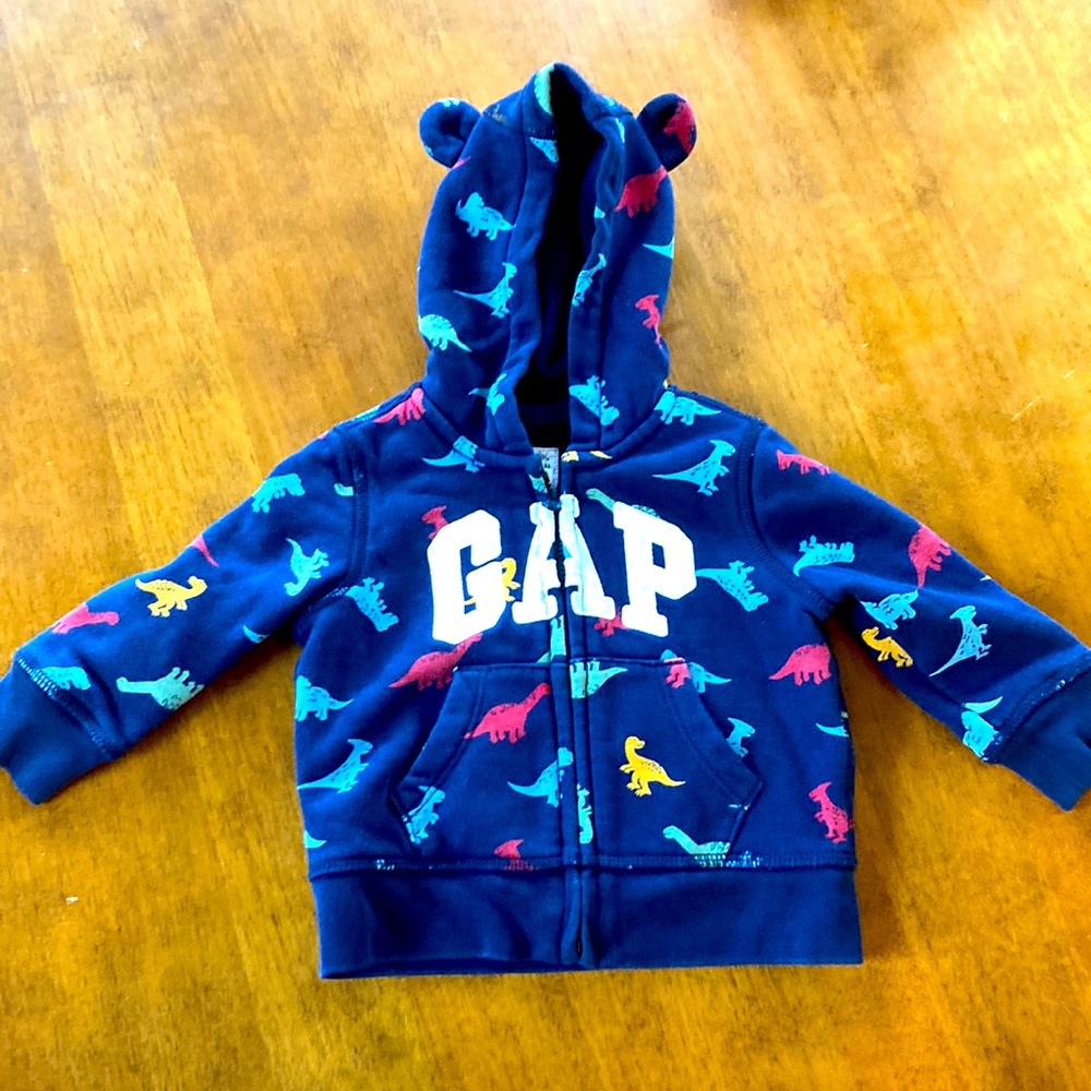 Zip up sweatshirt with teddy ears on hood